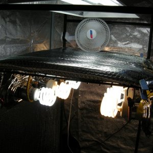 home made CFL reflector