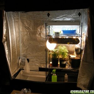 grow tent set up 1/2 used