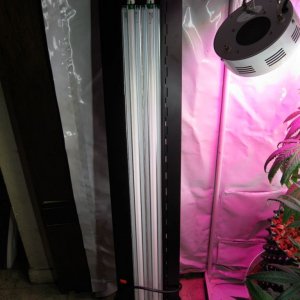 4' 2 tube Tek Light T5HO