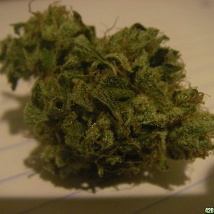 sour diesel