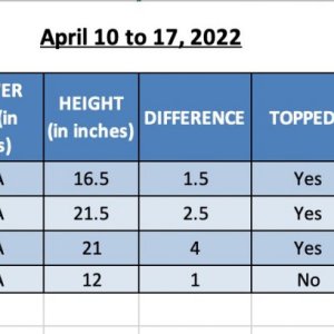 420 Update - 17-Apr-22.jpg