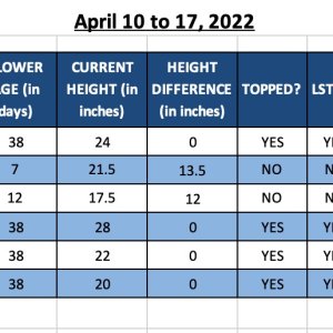 420 Update - 17-Apr-22.jpg