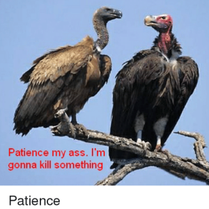 patience-my-ass-im-gonna-kill-something-patience-13978474.png