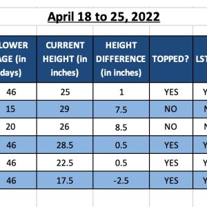 420 Update - 25-Apr-22.jpg