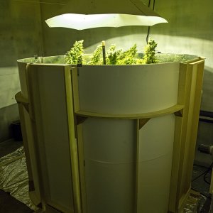 Grow enclosure 27 Apr.jpg