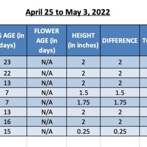 420 Info - SUM22 - 03-May-22.jpg