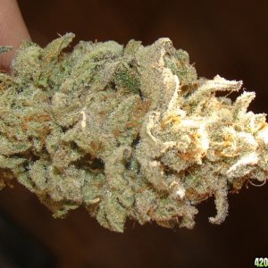 Chernobyl   HPS