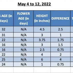 SUM22 - 420 Info - 15-May-22.jpg