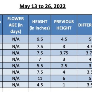 SUM22 - 420 Update - 26-May22.jpg