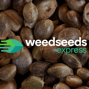 1853-weedseedsexpress.png