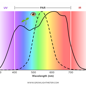 illuminance-vs-ppfd.png