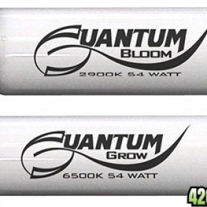 quantum_tubes