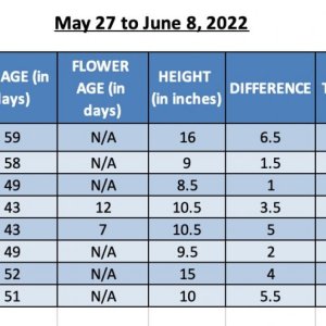 SUM22 - 420 Update - 08-Jun-22.jpg