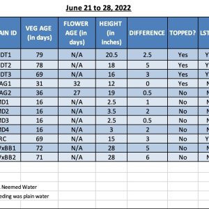 SUM22 - 420 Info for 28-Jun-22.jpg