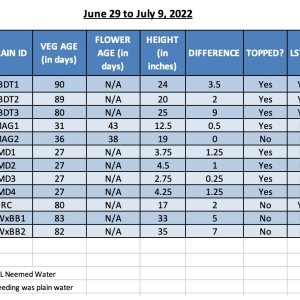 420 Update - 09-Jul-22.jpg