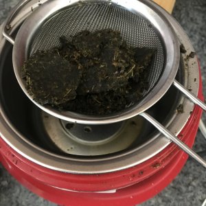 Straining Oil with Mesh Strainer.jpg