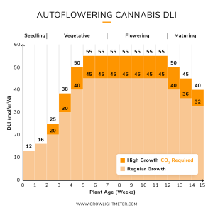 autoflowering-cannabis-dli-cycle-1.png