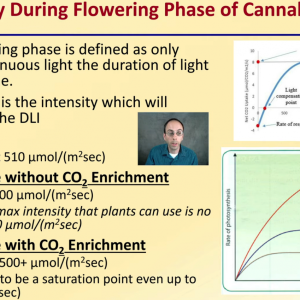 DeBacco Light Intensity during Flower.png