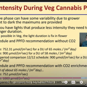 DeBacco Light Intensity during Veg.png