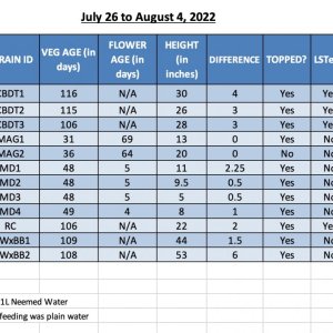 1SUM22 - 420 Update for 04-Aug-22.jpg