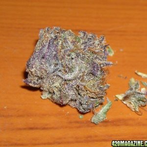 Purple kush