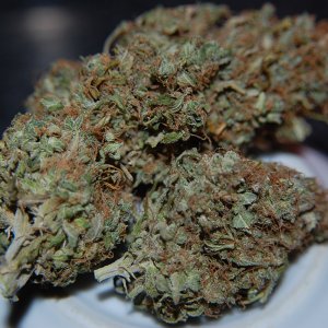 green-crack-cured-bud.JPG