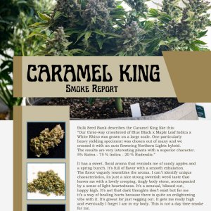 Caramel King Smoke Report copy.jpg