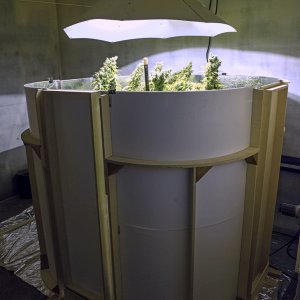 Grow enclosure 27 Apr.jpg