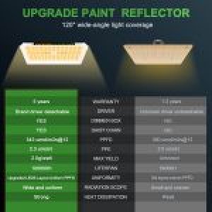 ed-grow-light-for-indoor-plants-comparison-150x150.jpg