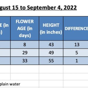 420 Update for 04-Sep-22 - RC & WWxBBs.jpg