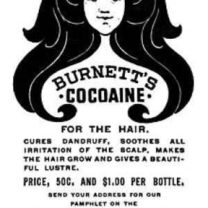 220px-Burnett's_Cocaine_for_the_hair_(advertisement,_McClure's_1896).jpg