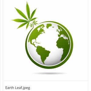 earh leaf.jpg