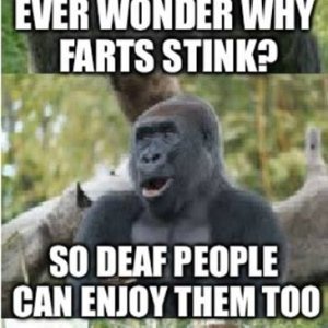 Why farts stink.jpg