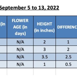 SUM22 - Indoor Plant 420 Update for 14-Sep-22.jpg