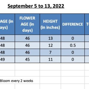 SUM22 - Moby Dick 420 Update for 14-Sep-22.jpg