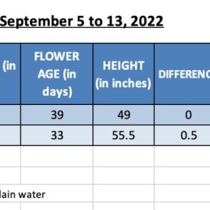 SUM22 - WWxBB 420 Update for 14-Sep-22.jpg