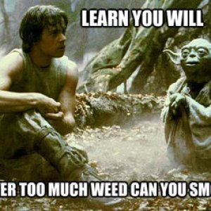 yoda_luke_funny_weed.jpg