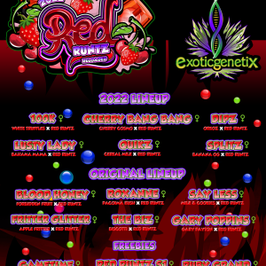 RED-RUNTZ-RELOADED-0906.png