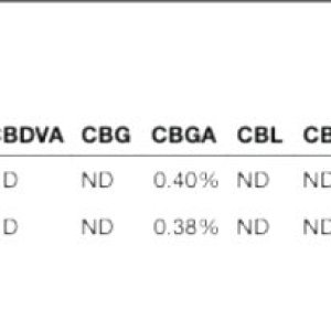 LKV Test Results b.jpg