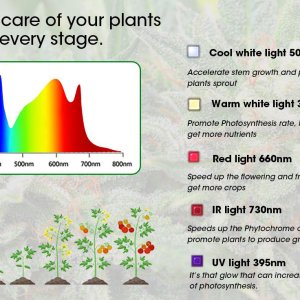 840W-LED-GROW-LIGHT_full-Spectrum.jpg