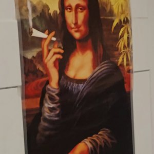 Stoner Lisa.jpg