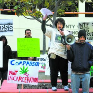 Marijuana_protest9368_mi_standalone_prod_affiliate_76