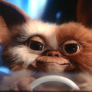 gizmo.jpg