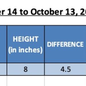 420 Update - CxNL - Sep 14 to Oct 13.jpg