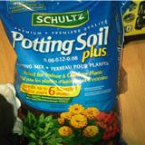 Shultz potting soil plus