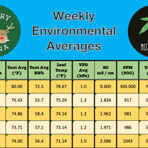 Week 5 Averages.png