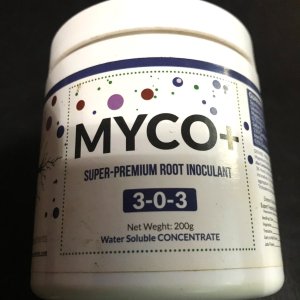 Myco + jar.jpg