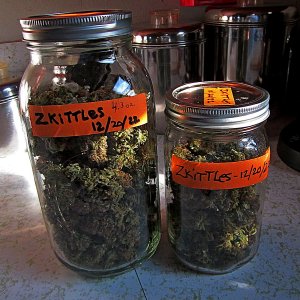 7-ZK-3 in the jars.jpg