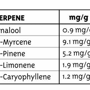 HUM-DREAM-TERPENES.jpg