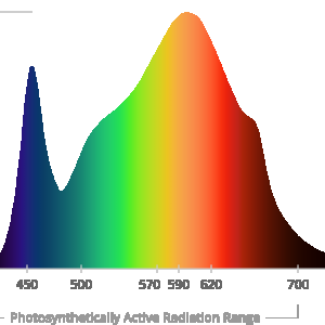 xs-series-spectrum.png